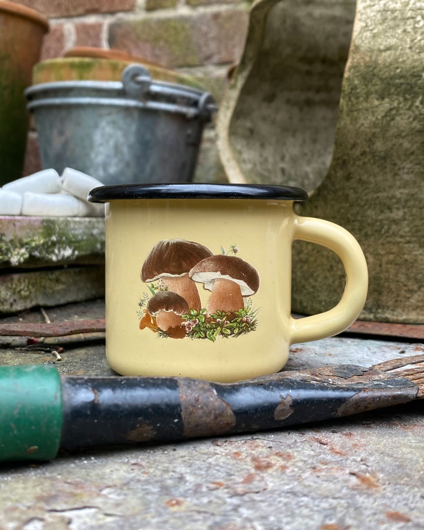 Small Enamel Mug, Mushrooms