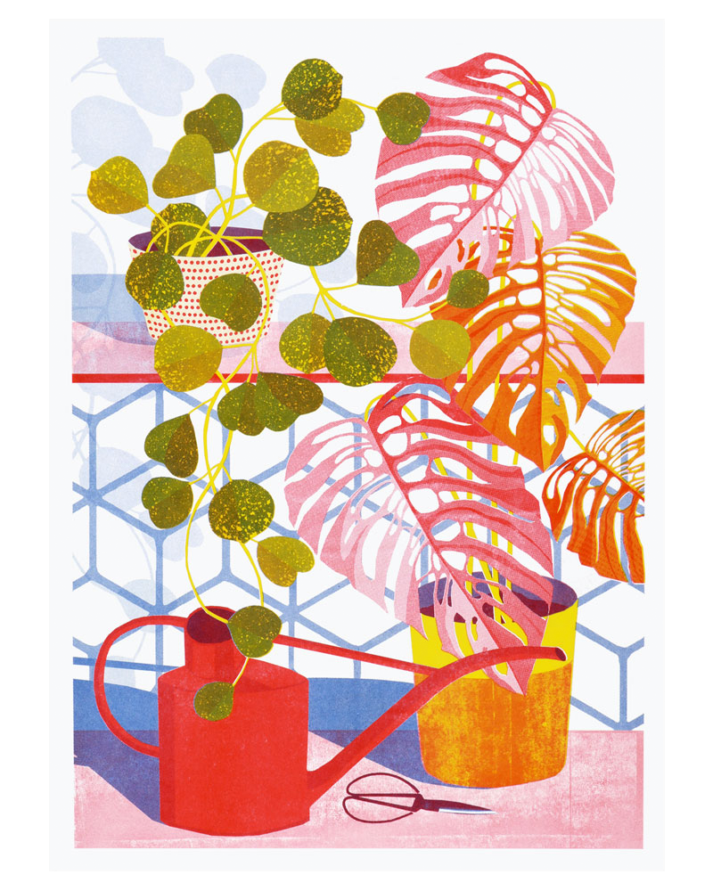 Hoya Risograph Print