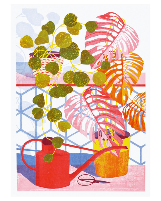Hoya Risograph Print