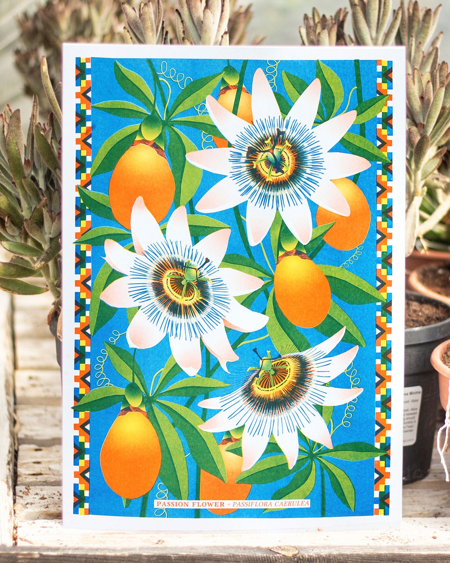 Passion Flower Risograph Print