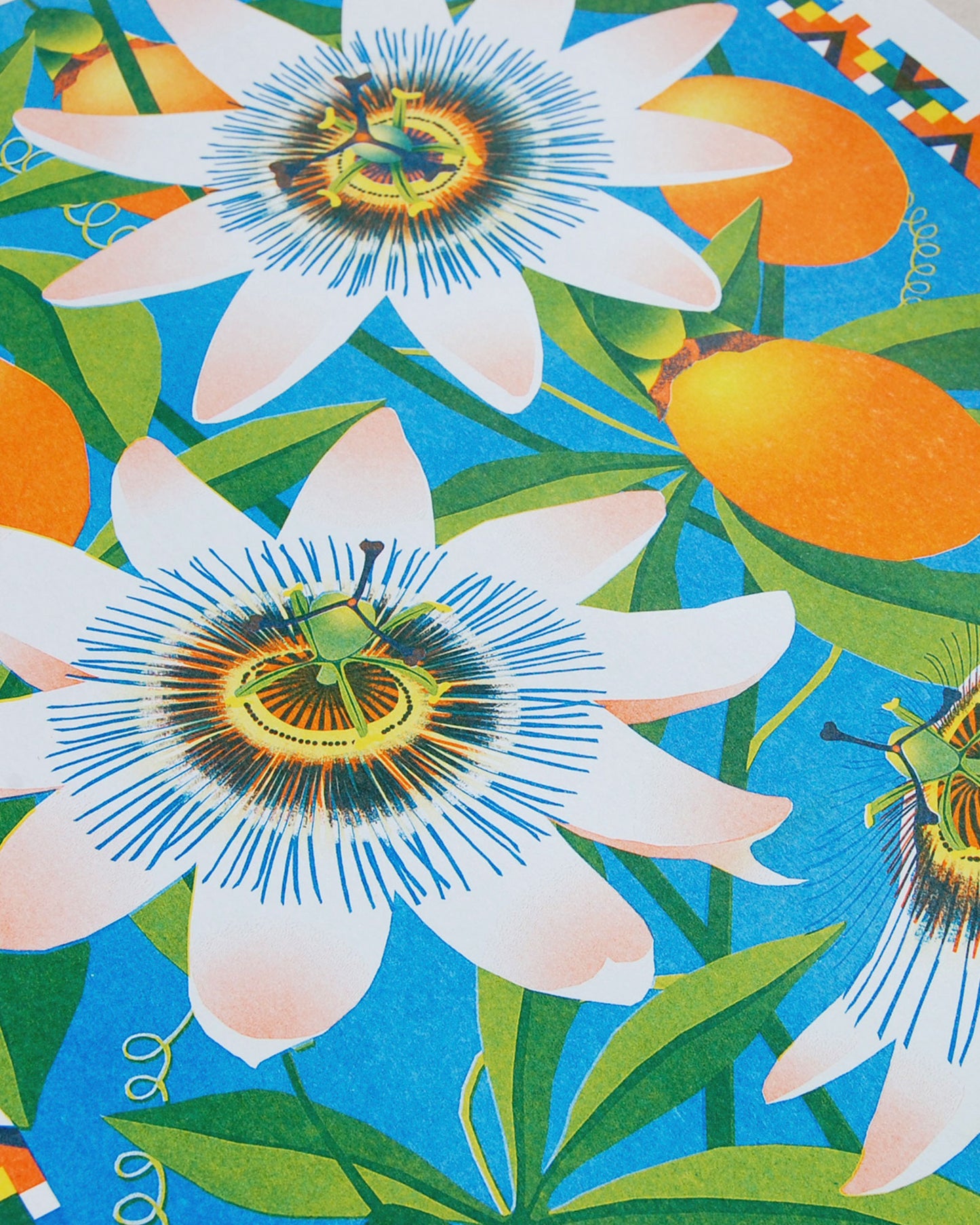 Passion Flower Risograph Print