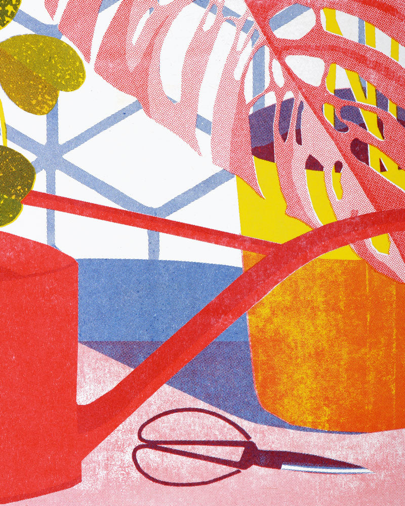 Hoya Risograph Print